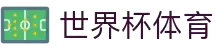 2026世界杯 (FIFA WorldCUP)中国竞彩指定平台
